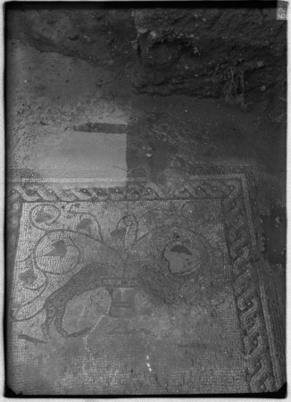 Frammento di mosaico romano, scavi Taramelli 1914