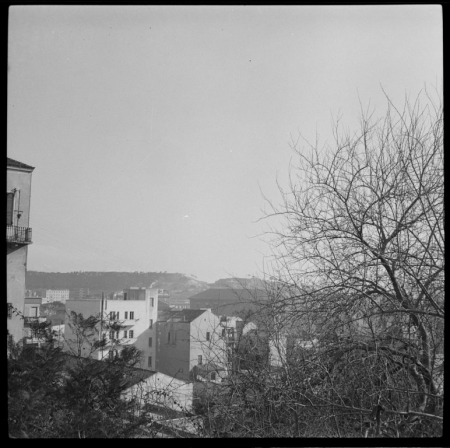 Veduta dalla piazzetta Regina Margherita, Vincolo panoramico
