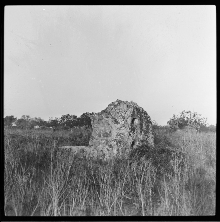Ruderi