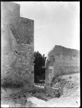 Fianco destro (dopo il restauro)