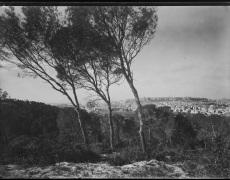 Cagliari, Monte Urpinu