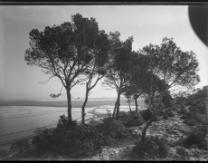 Cagliari, Monte Urpinu